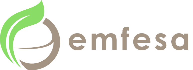 Web oficial de Emfesa